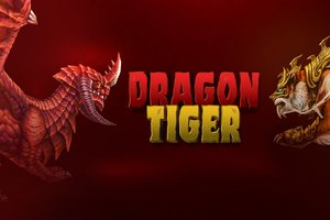 Mastering the Game with Dragon Tiger Predictor Complete Guide.txt for Indian Players