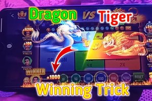 The Best Bonus for Dragon Tiger Batery Bet